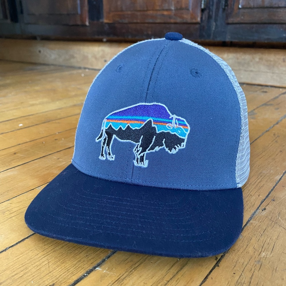 Patagonia Men’s Fitz Roy Bison LoPro Trucker Hat